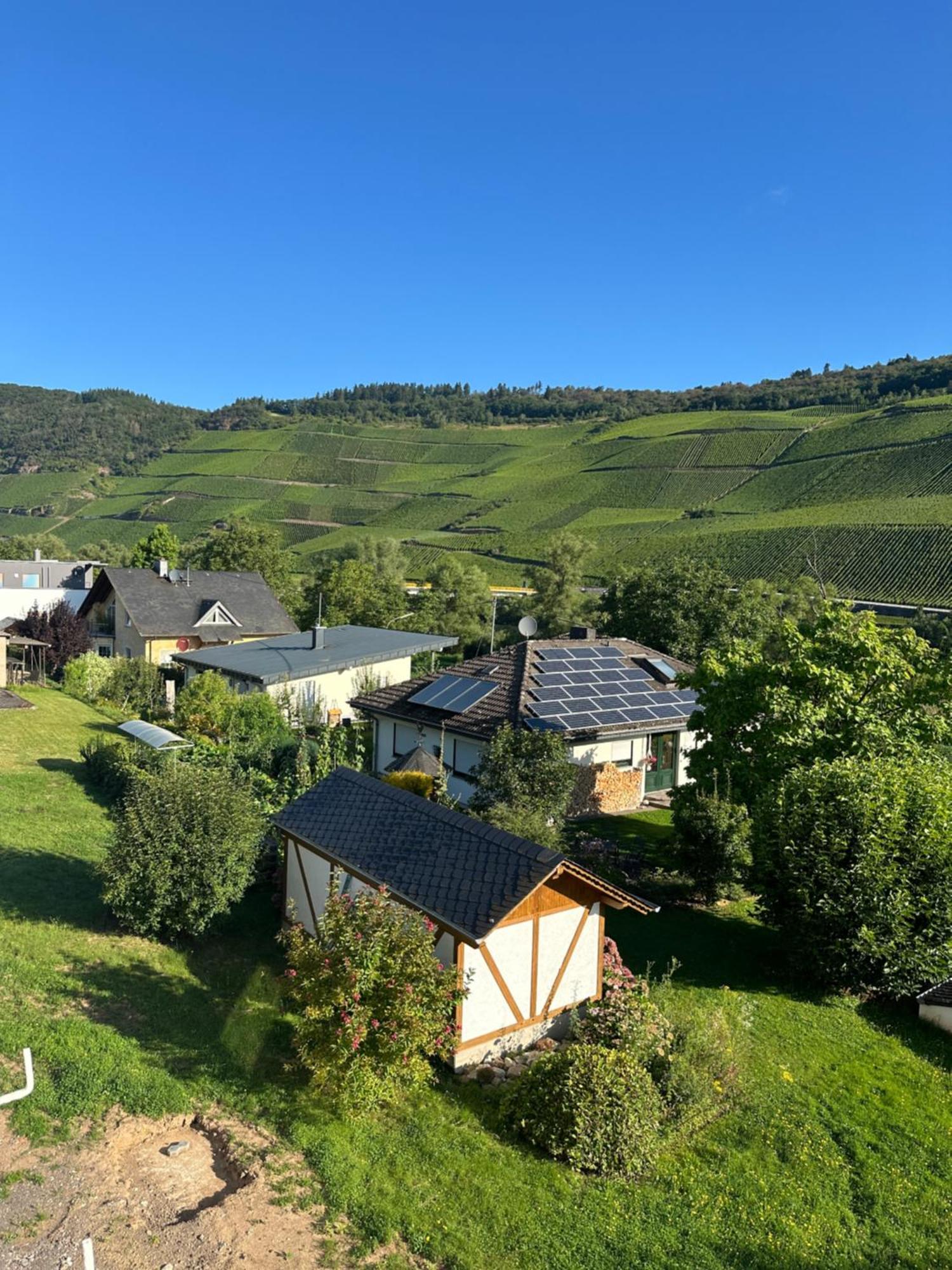 Moselappartements By Weingut Marco Adamy Losnich Luaran gambar