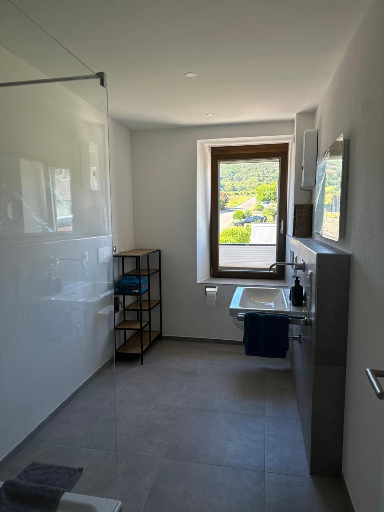 Moselappartements By Weingut Marco Adamy Losnich Luaran gambar
