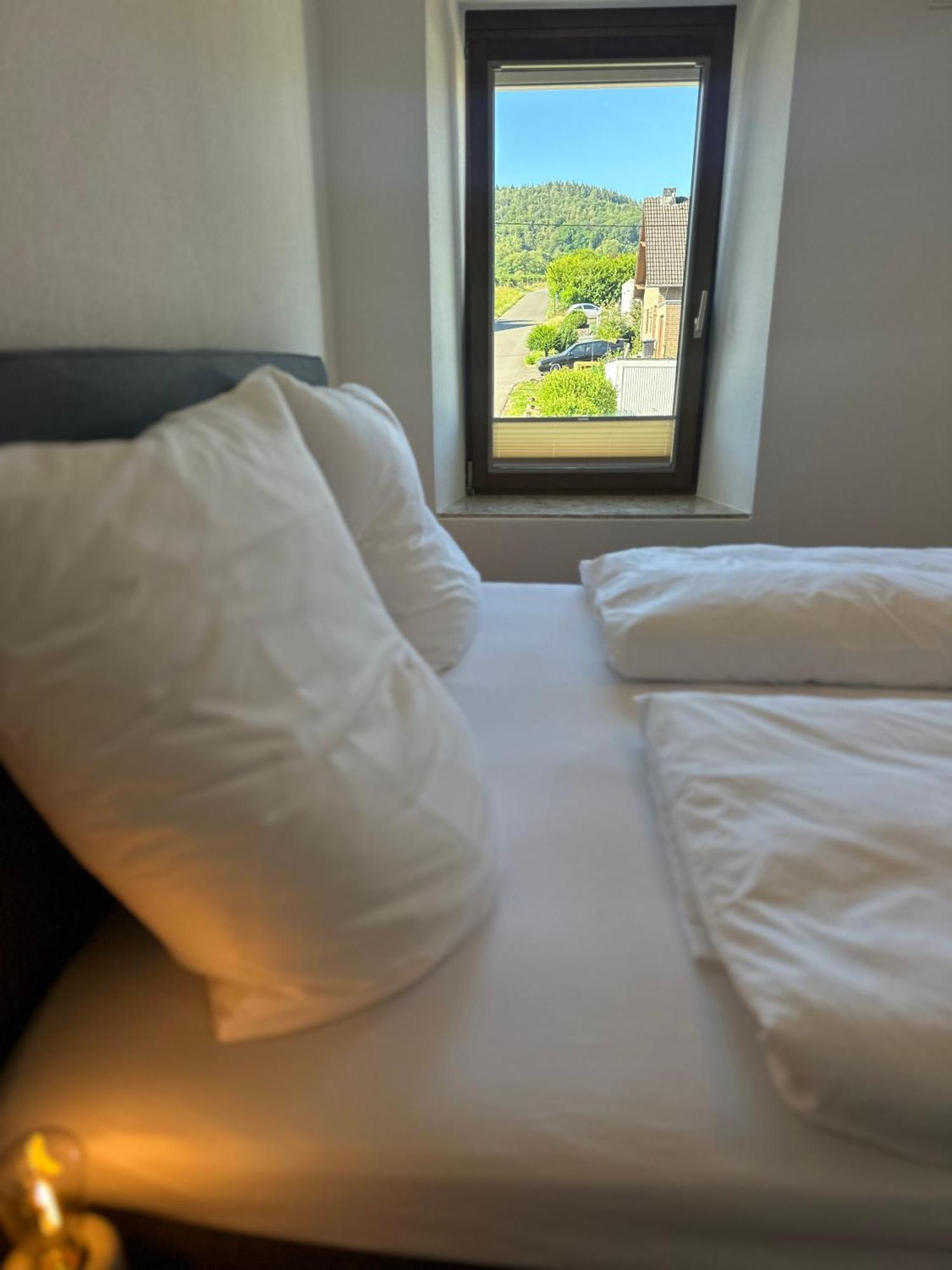 Moselappartements By Weingut Marco Adamy Losnich Luaran gambar
