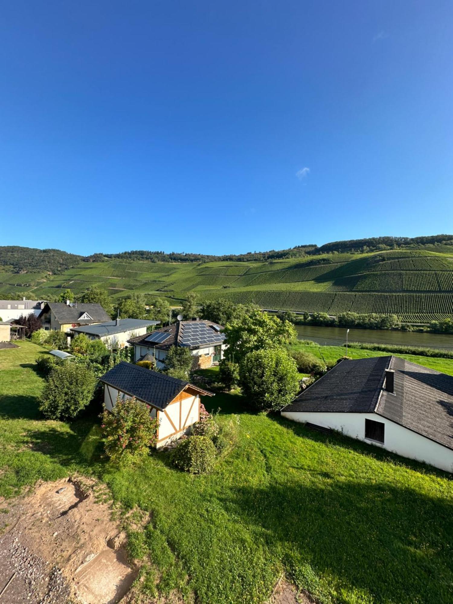 Moselappartements By Weingut Marco Adamy Losnich Luaran gambar