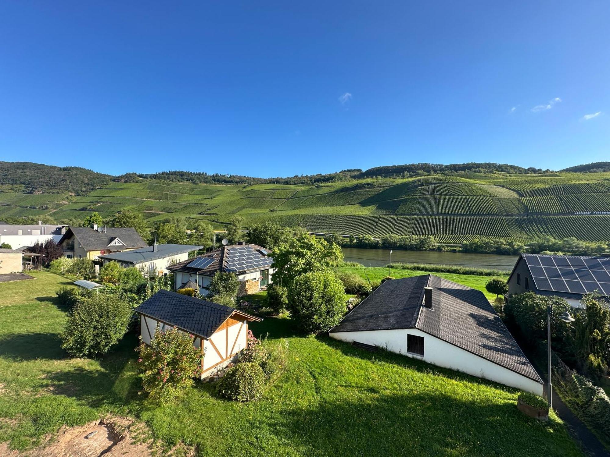 Moselappartements By Weingut Marco Adamy Losnich Luaran gambar