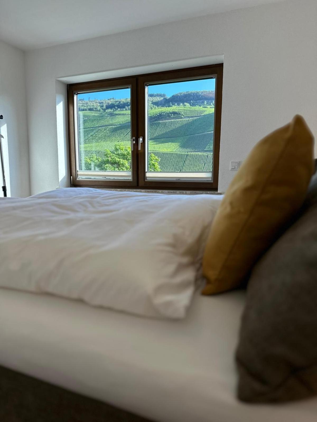 Moselappartements By Weingut Marco Adamy Losnich Luaran gambar