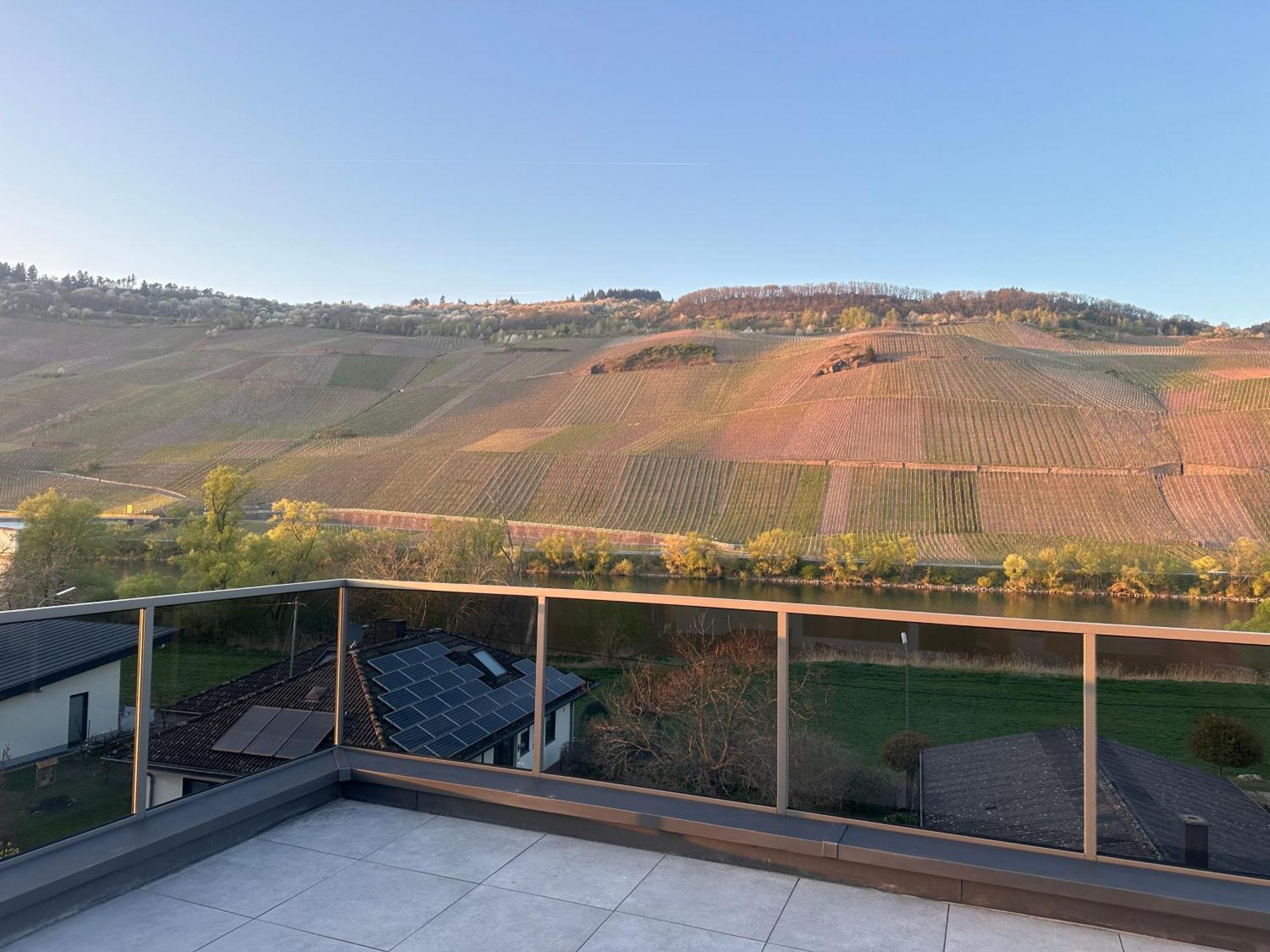 Moselappartements By Weingut Marco Adamy Losnich Luaran gambar