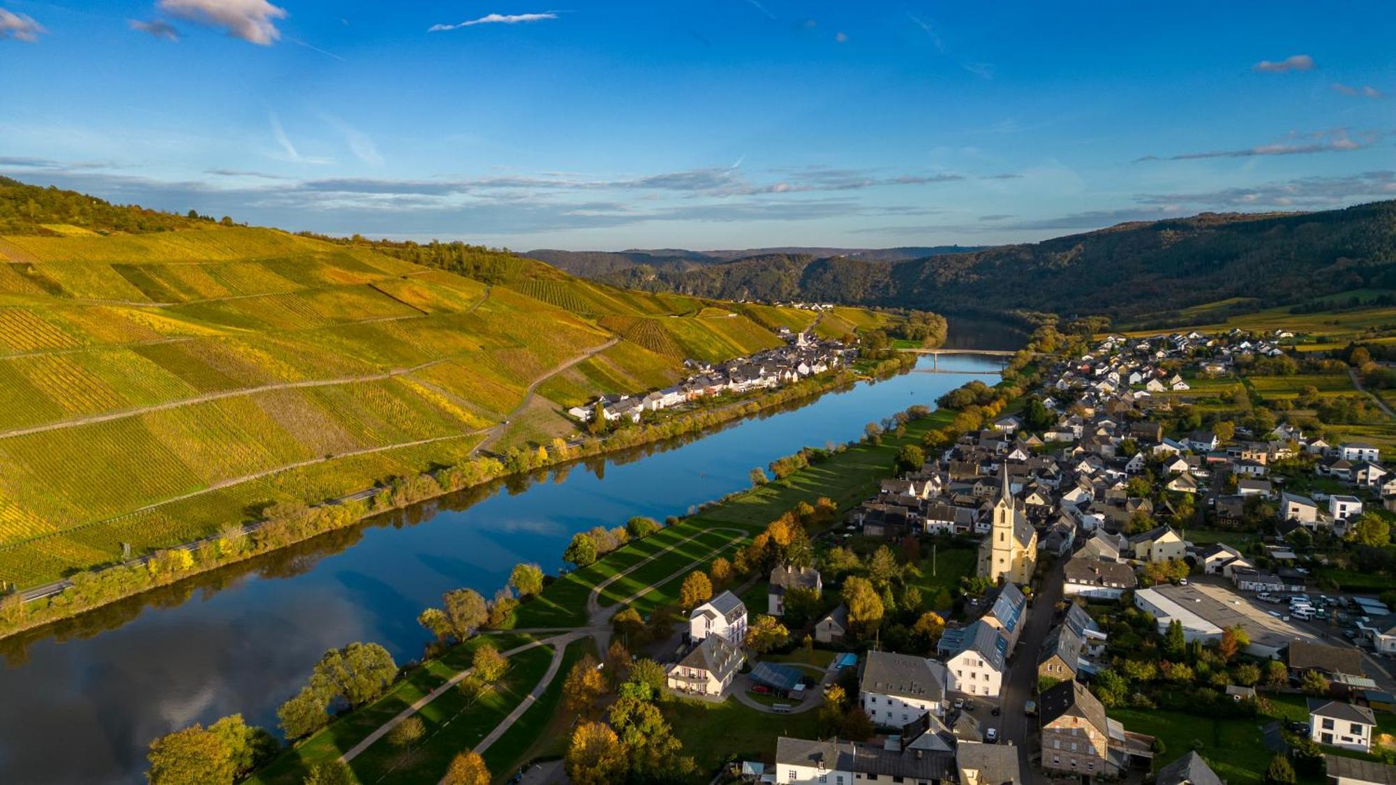 Moselappartements By Weingut Marco Adamy Losnich Luaran gambar
