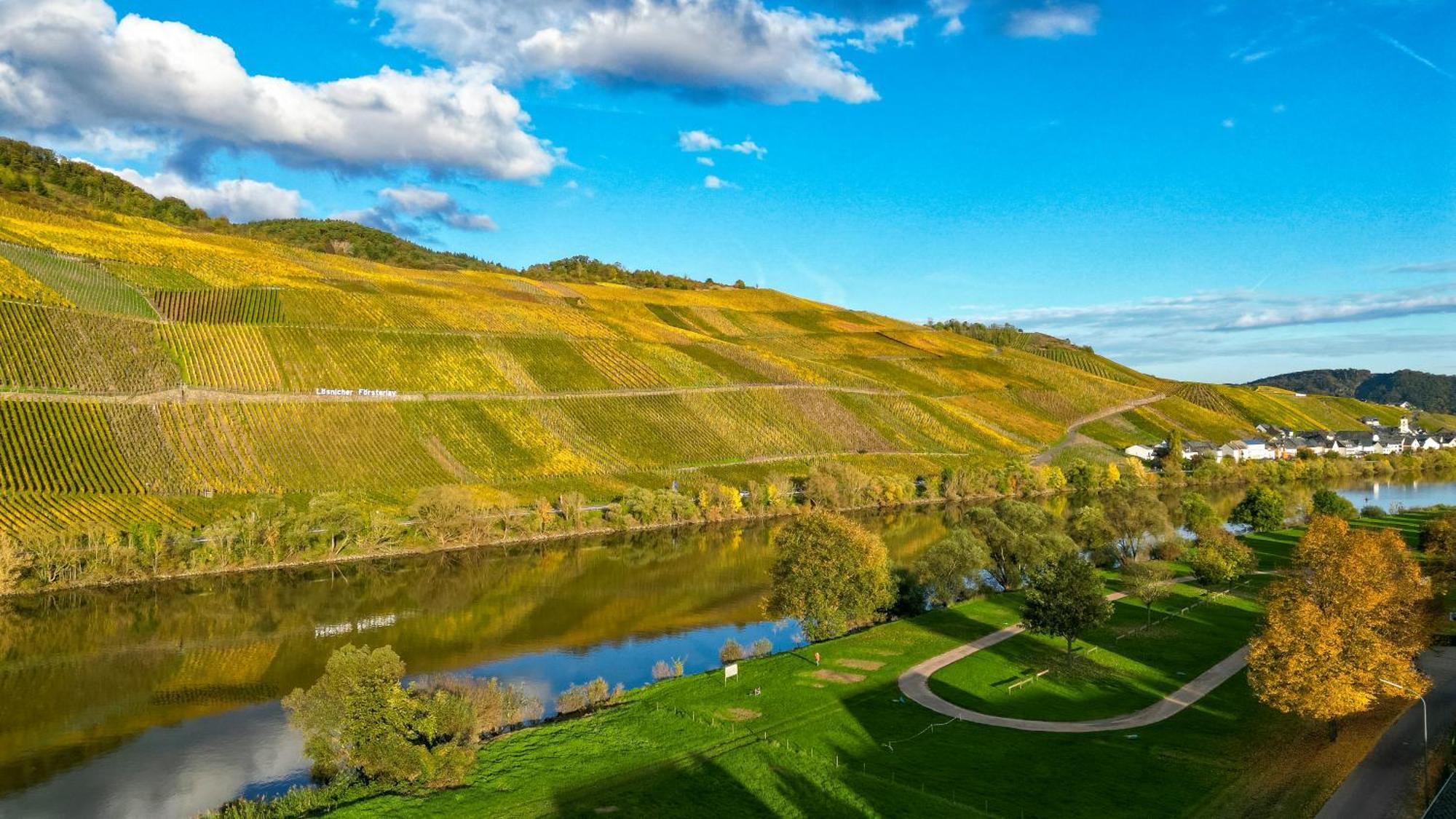 Moselappartements By Weingut Marco Adamy Losnich Luaran gambar
