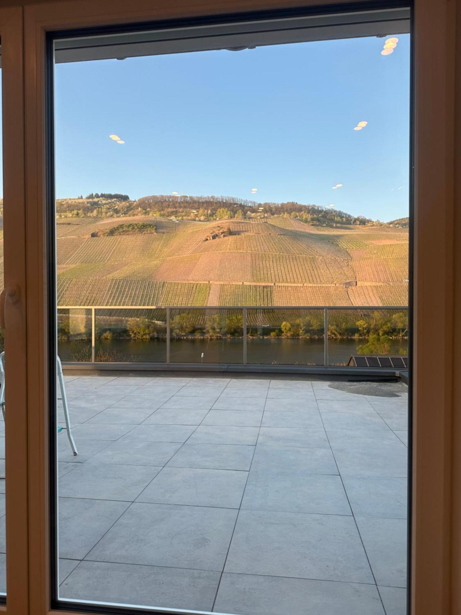 Moselappartements By Weingut Marco Adamy Losnich Luaran gambar