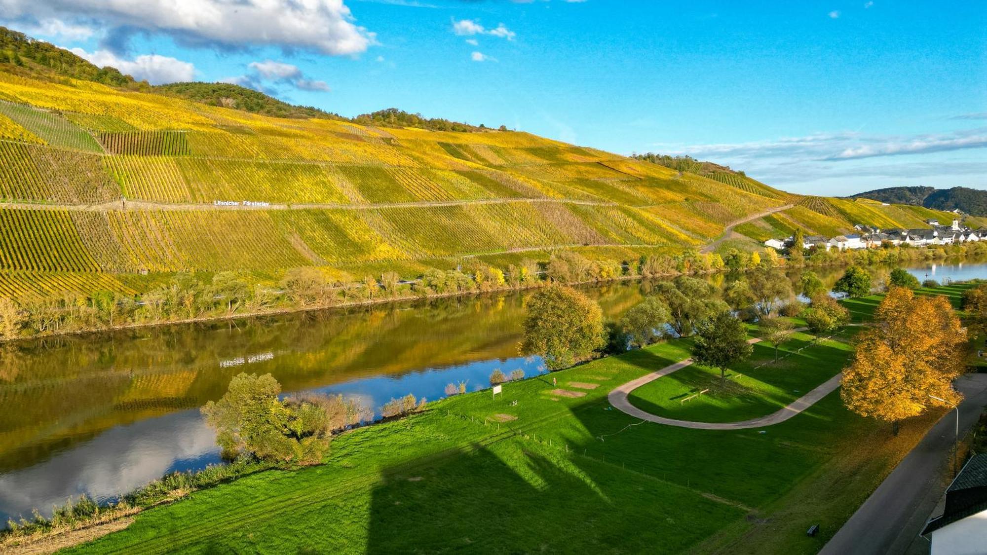 Moselappartements By Weingut Marco Adamy Losnich Luaran gambar