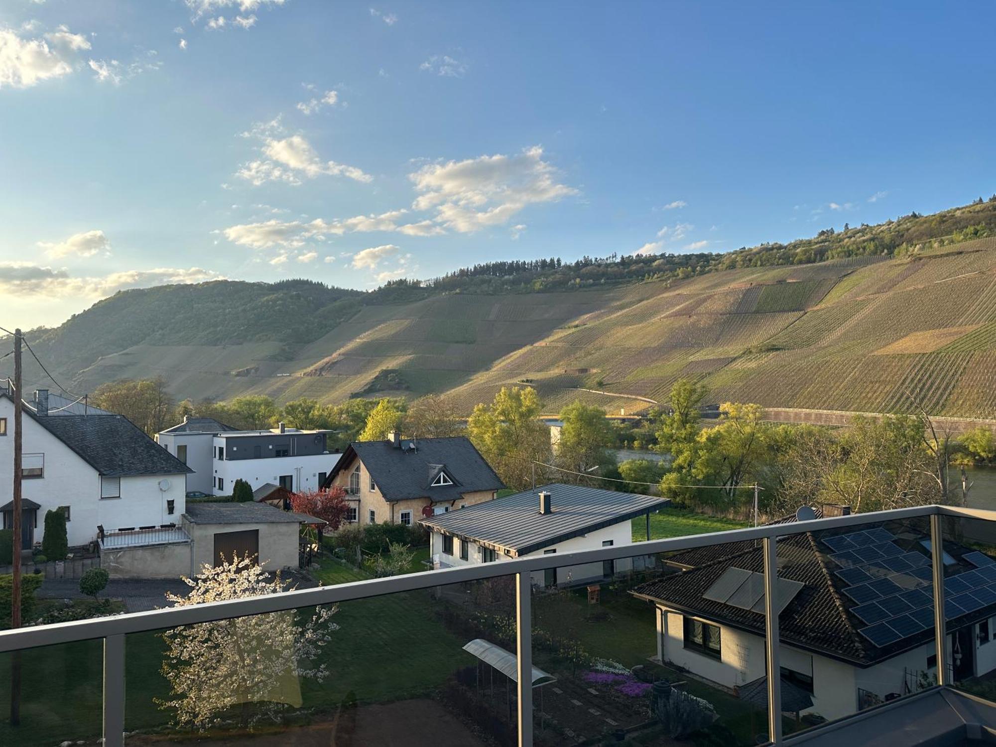 Moselappartements By Weingut Marco Adamy Losnich Luaran gambar